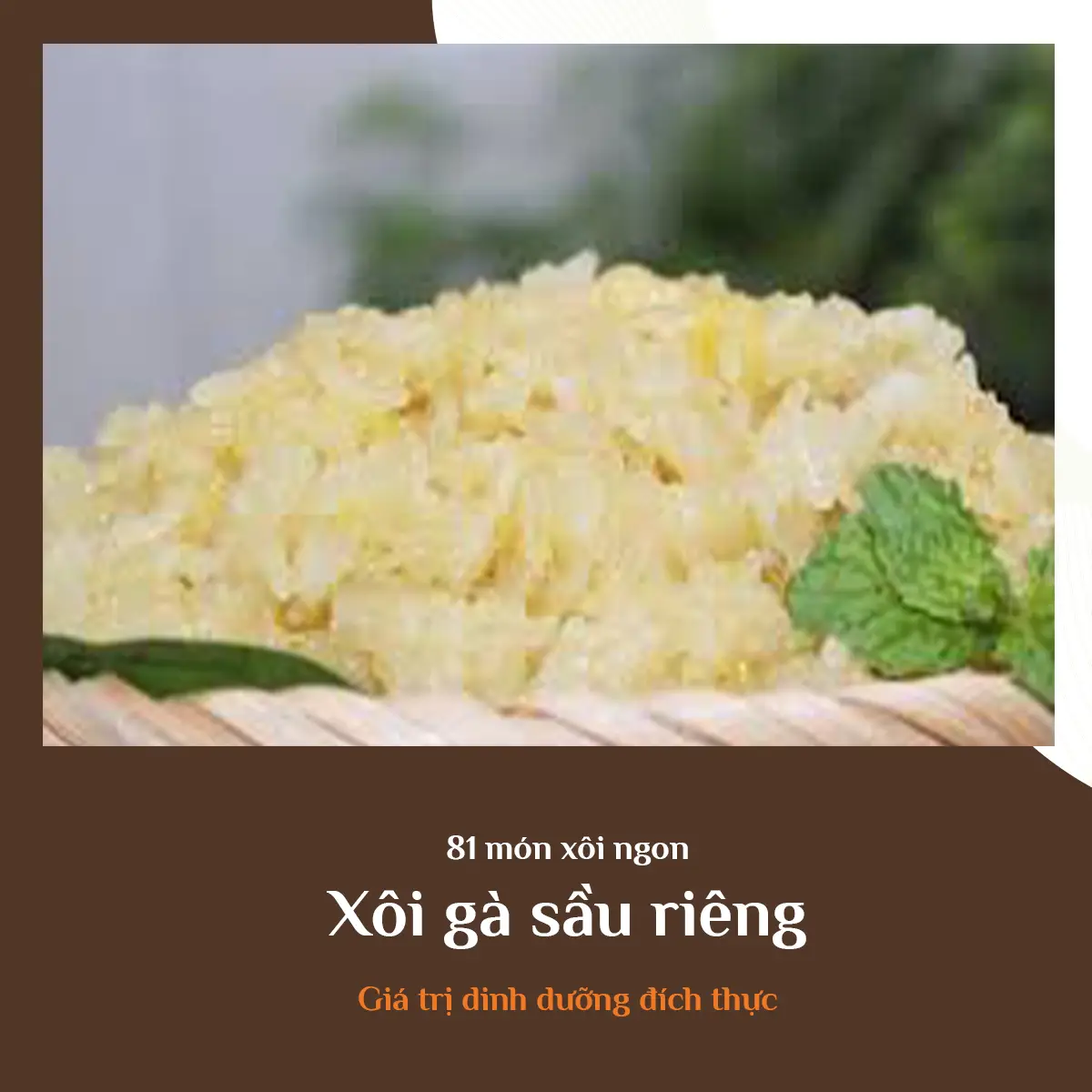 21. XoiGaSauRieng