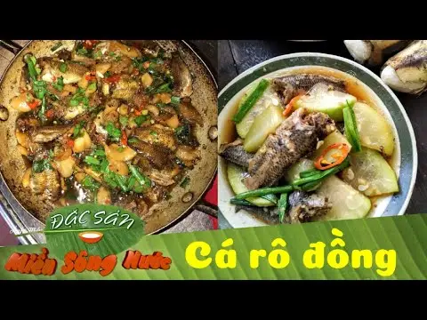 CÁ RÔ ĐỒNG 7 MÓN ngon bá chấy ăn hoài hổng ngán – Bạn đã thử chưa?| Đặc sản miền sông nước