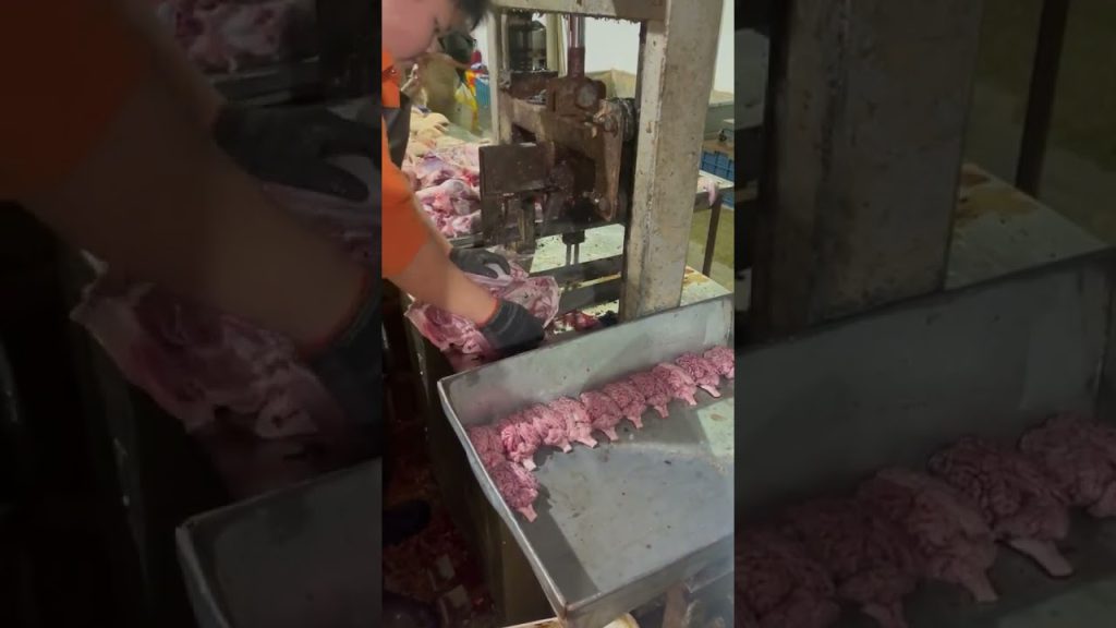 Món ngon từ heo 🐖 #shortsfeed #tintuc Món ngon từ heo 🐖 #shortsfeed #tintuc