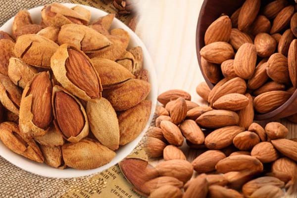 Nên ăn bao nhiêu hạt hạnh nhân là tốt nhất Hạnh nhân có thể ức chế tác dụng của một số loại thuốc