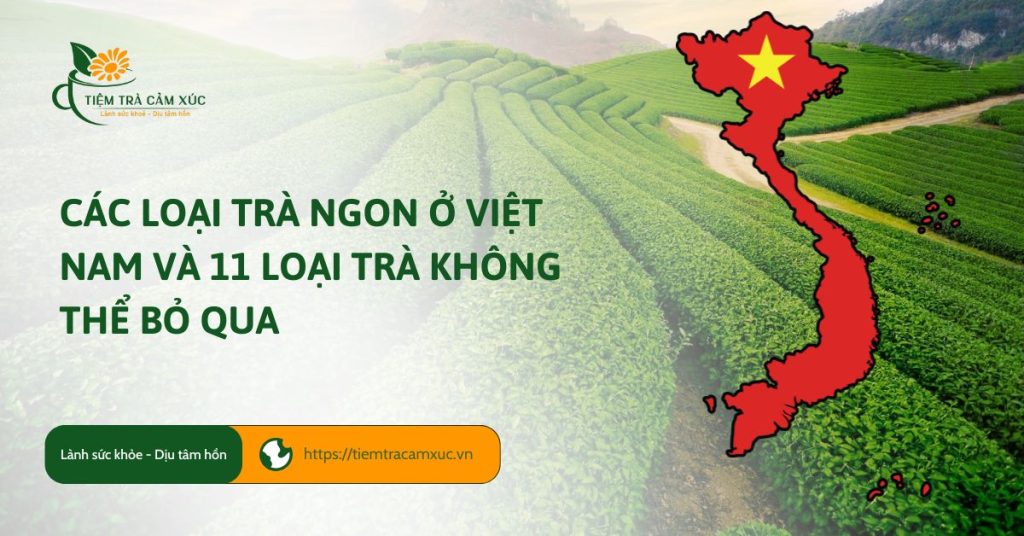 11 loại trà Việt Nam ngon và bổ – Uống không chỉ ngon mà còn khỏe!