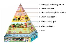 Chương trình bồi dưỡng nâng cao năng lực cho nhân viên y tế trường học. Học phần 3. Dinh dưỡng và An toàn thực phẩm Chương trình bồi dưỡng nâng cao năng lực cho nhân viên y tế trường học. Học phần 3. Dinh dưỡng và An toàn thực phẩm