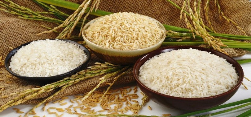 Lập kế hoạch kinh doanh đại lý gạo chỉ với 50 triệu Những loại gạo được ưa chuộng hiện nay