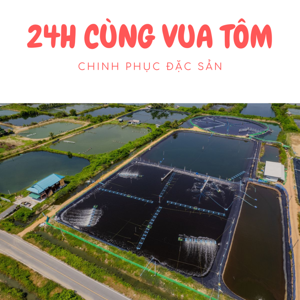 Chinh Phục Đặc Sản Vùng Miền 24h Cùng Vua Tôm !