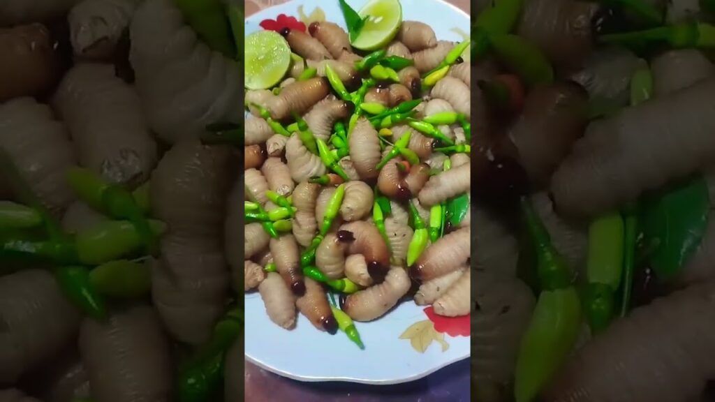 Nấu ăn cho chồng #cothebanchuabiet #food #tin3phut #amthuc #giaitri #giadinh #vuinhon #vuive Nấu ăn cho chồng #cothebanchuabiet #food #tin3phut #amthuc #giaitri #giadinh #vuinhon #vuive