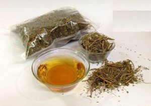Uống lá gì để mát gan bổ thận? tra diep ha chau giup giai doc mat gan