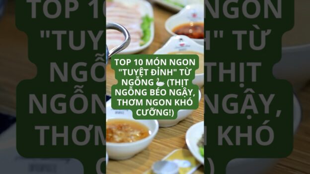 1763280415 maxresdefault